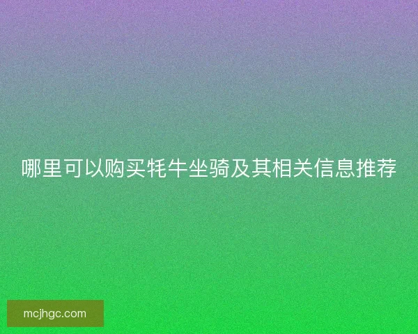 哪里可以购买牦牛坐骑及其相关信息推荐